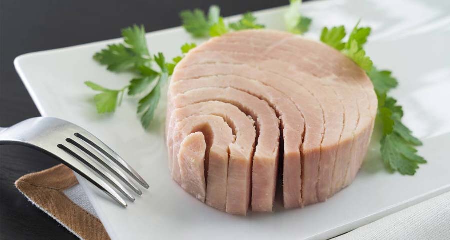 tuna on a white plate